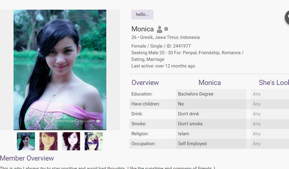 IndonesianCupid Profile Quality