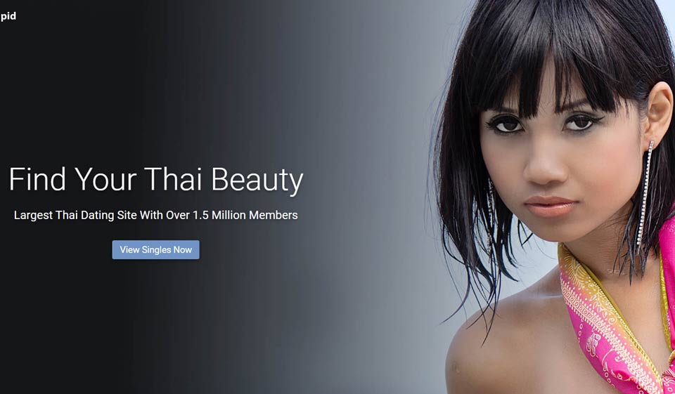 ThaiCupid Review – What Do We Know About It?