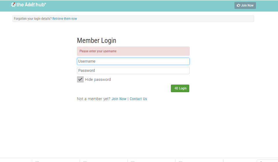 The Adult Hub İnceleme