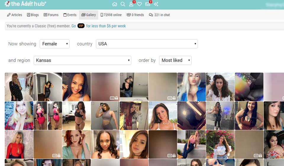 Siguranța centrului pentru adulți