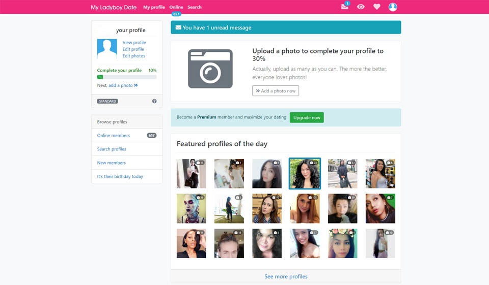 MyLadyboyDate review - what do we know about it?