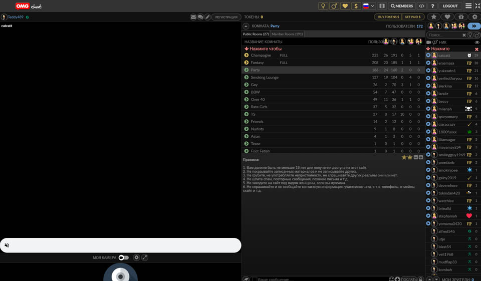 OMGChat How does OMGChat work?