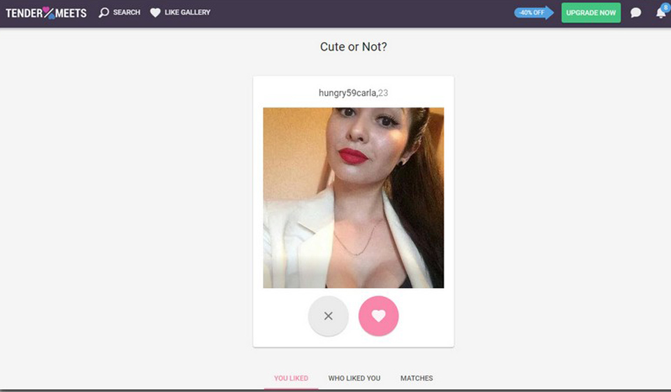 TenderMeets Review: What Do We Know About it?