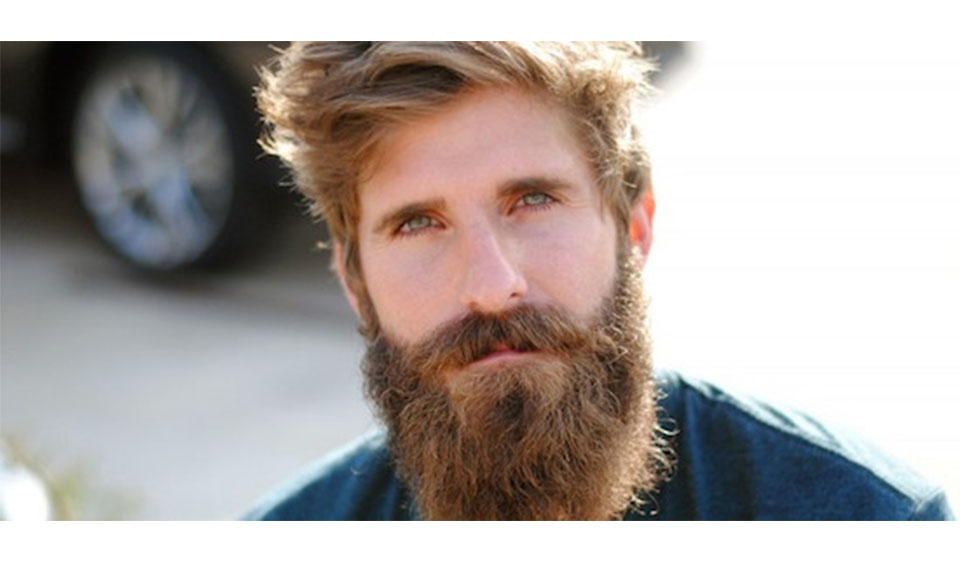 Nápověda a podpora