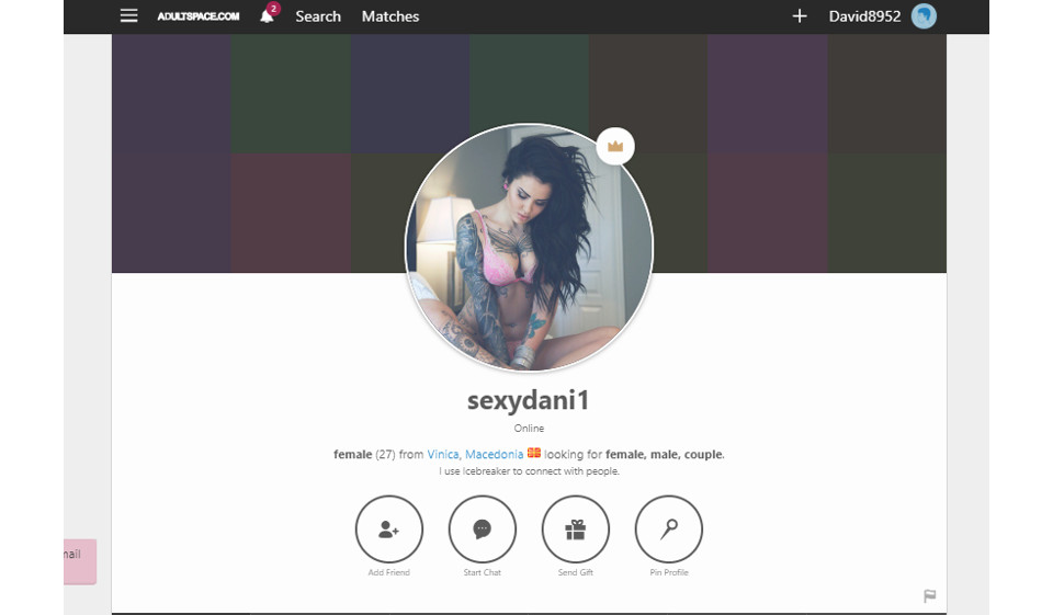 How does AdultSpace work?