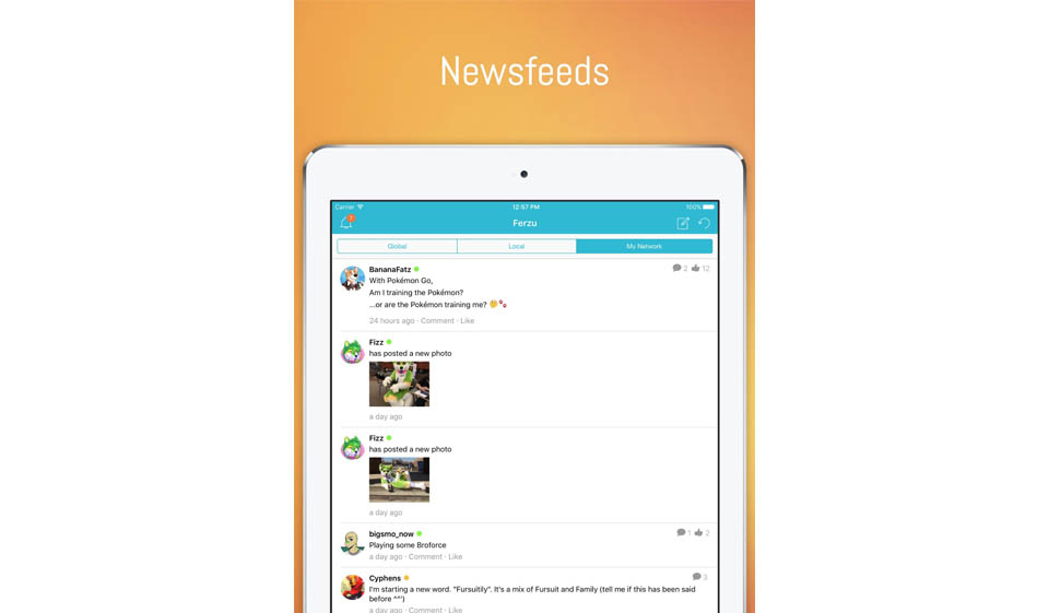 How does Ferzu work?