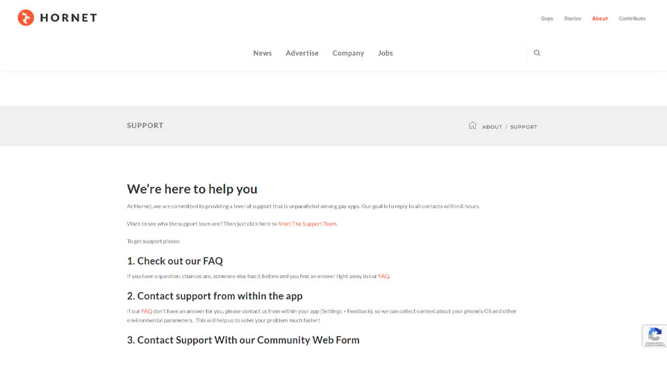 Does Hornet Really Work?