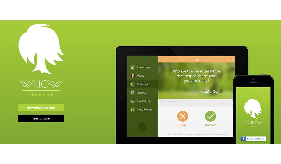 Willow incelemesi - bu konuda ne biliyoruz?