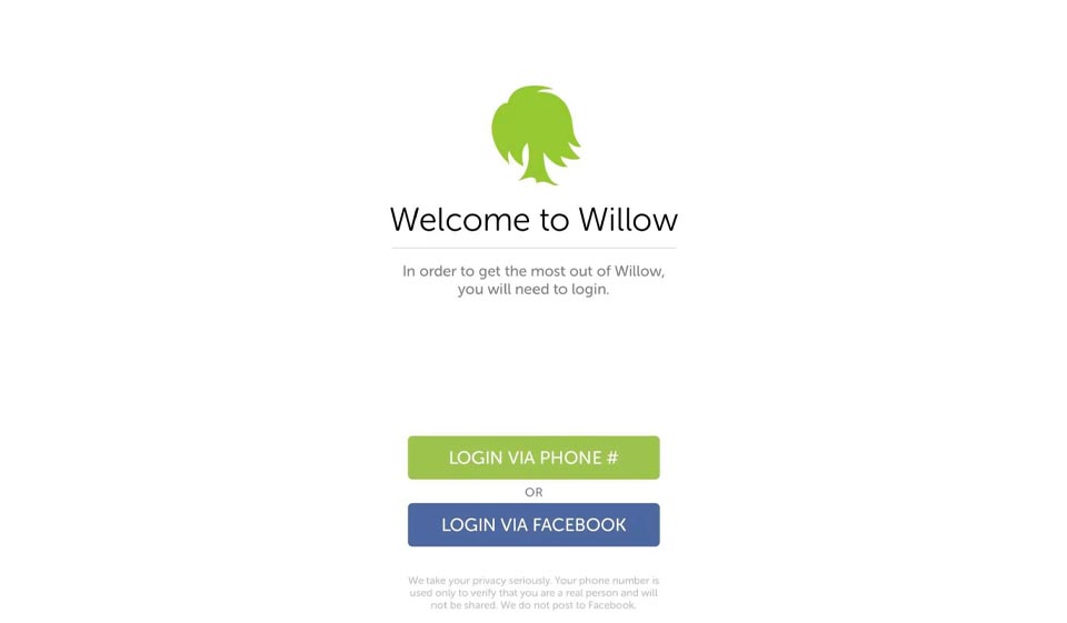 Willow incelemesi - bu konuda ne biliyoruz?