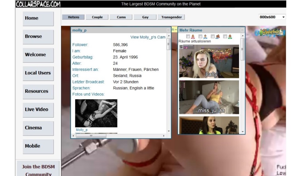 How does Collarspace Work