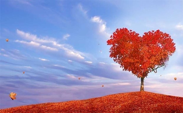 Cómo encontrar el amor este otoño
