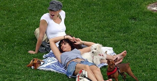 6 sposobów na poznanie lesbijek