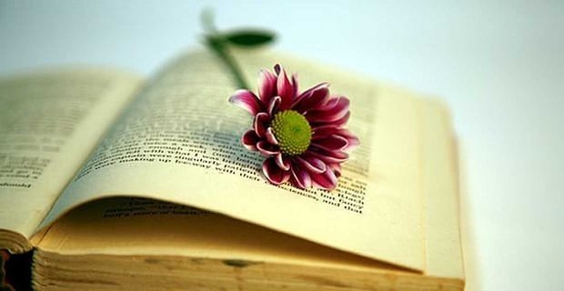 Romantik Okurlar Duyguları Anlamakta Daha İyi