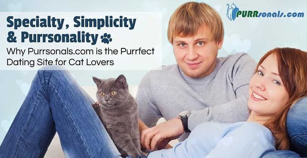 Specjalność, prostota i mruczliwość — dlaczego Purrsonals.com jest idealną stroną randkową dla miłośników kotów