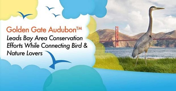 Golden Gate Audubon prowadzi działania na rzecz ochrony obszaru zatoki, łącząc miłośników ptaków i przyrody