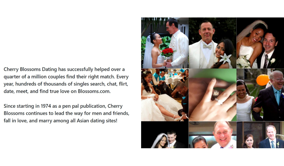 Jak funguje Cherry Blossoms Dating?